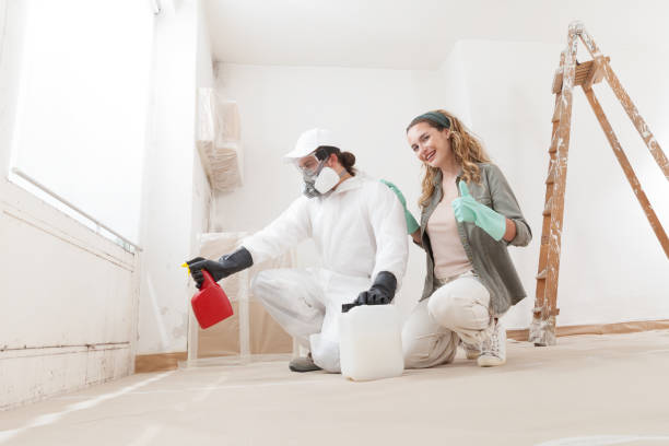 Best Mold Remediation for Healthcare Facilities  in USA